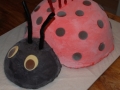Ladybug Ice-Cream Cake